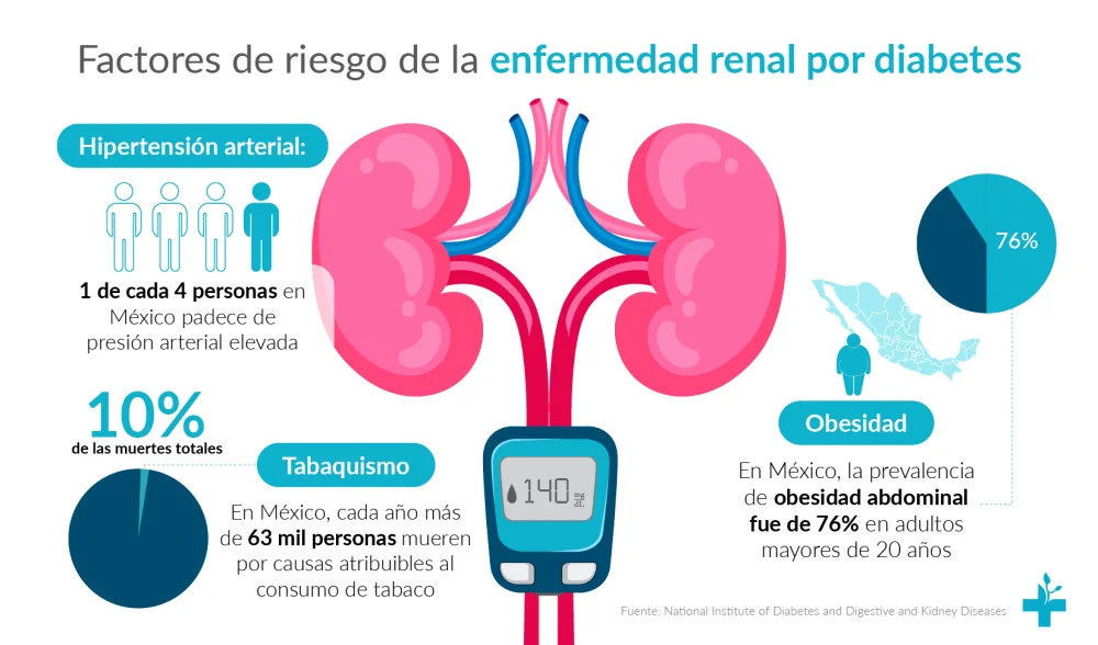 ¿Cómo afecta la diabetes a los riñones?