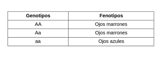 Diferencia entre alelos dominantes y recesivos