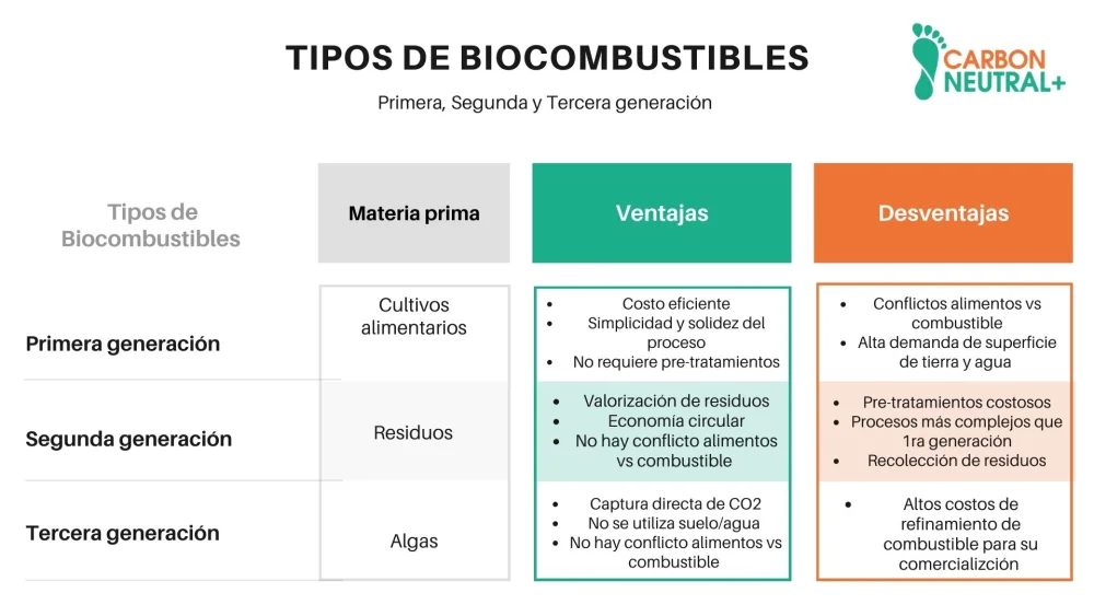 Diferencia entre biocombustible y combustible fósil
