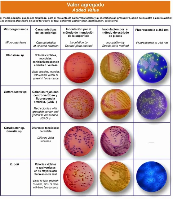 Diferencia entre coliformes y enterobacterias