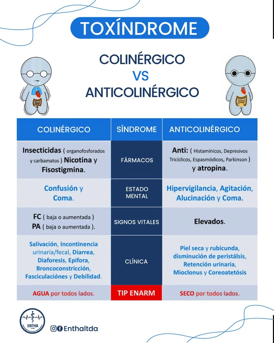 Diferencia entre colinérgico y anticolinérgico