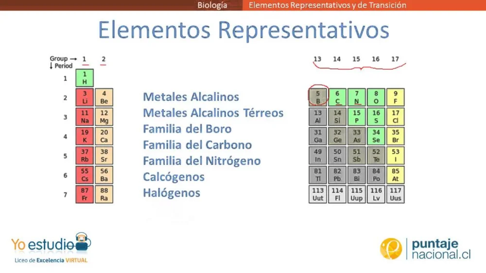 Diferencia entre elementos representativos y de transición