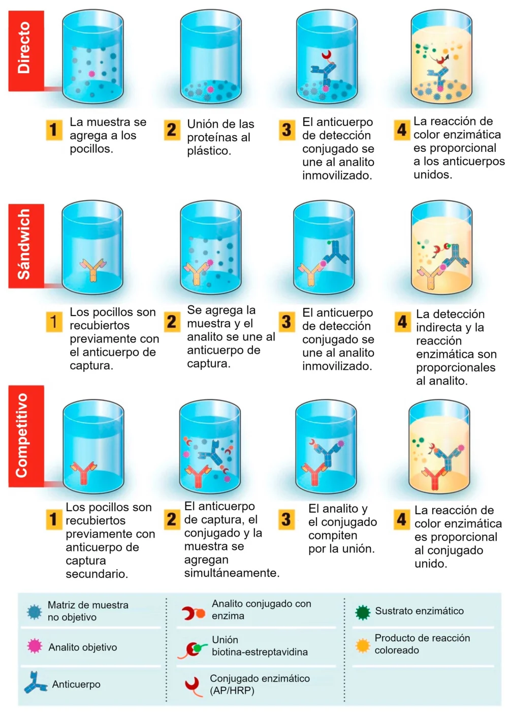 Diferencia entre ELISA directa e indirecta