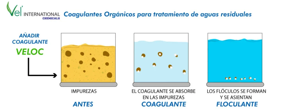 Diferencia entre floculante y coagulante