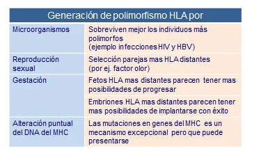 Diferencia entre HLA y MHC