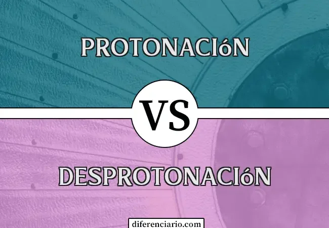 Diferencia entre protonación y desprotonación