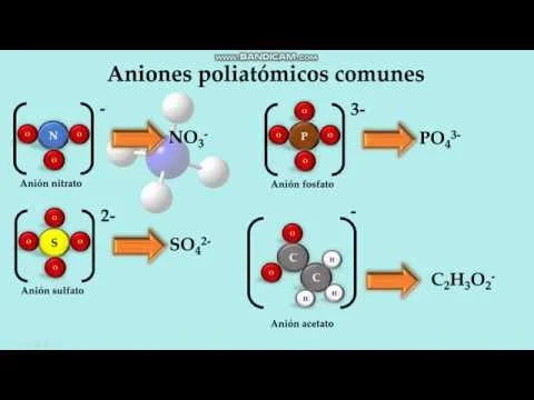 Diferencia entre un ion poliatómico y un compuesto iónico