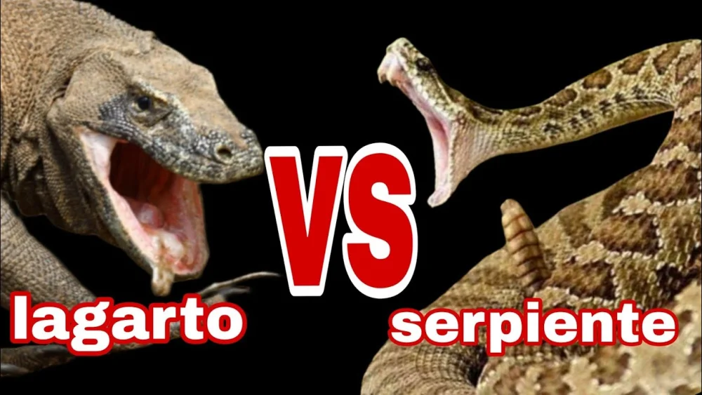Diferencia entre un lagarto y una serpiente