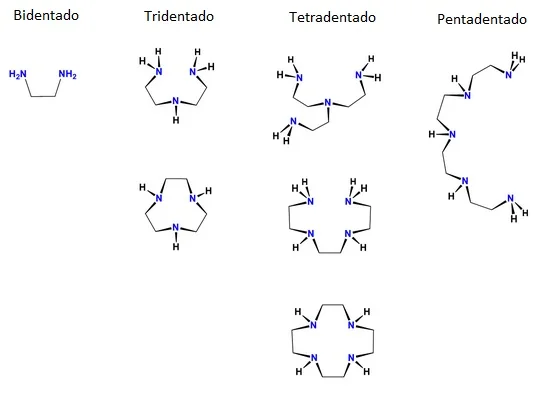Diferencia entre un ligando ambidentado y un ligando bidentado