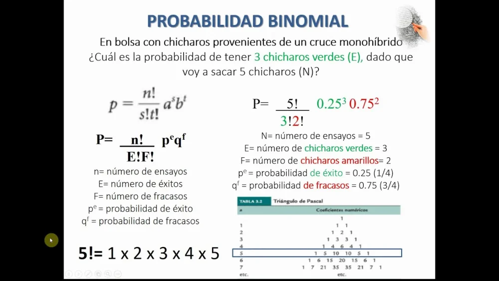 Cómo calcular la probabilidad binomial Ciencia