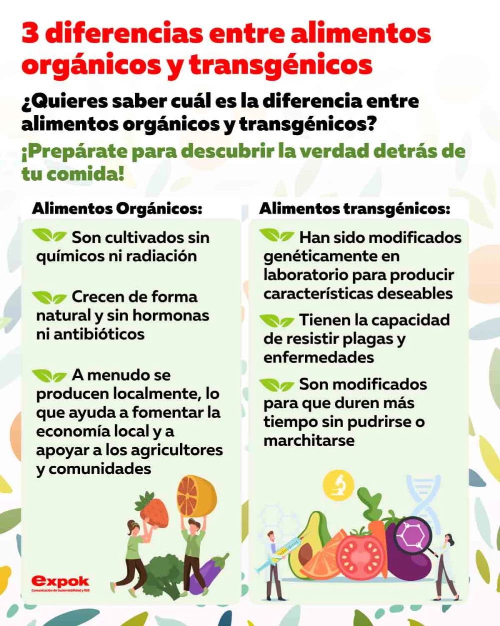 Diferencia entre alimentos naturales y orgánicos