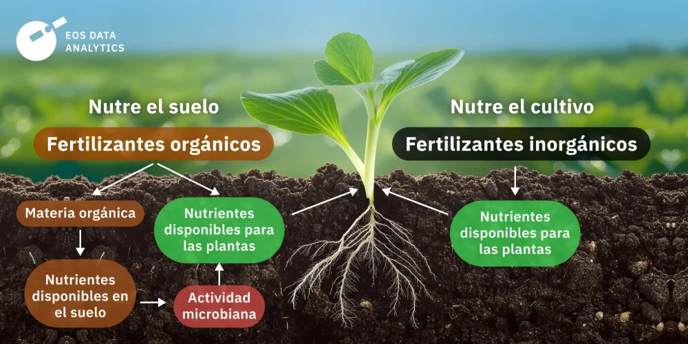 Diferencia entre biofertilizante y fertilizante orgánico