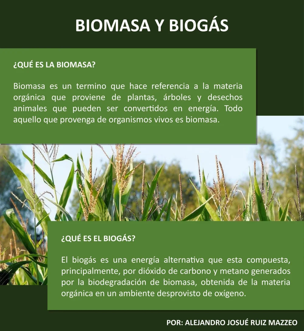 Diferencia entre biomasa y biogás