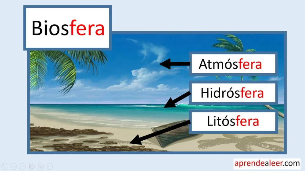 Diferencia entre biosfera y litosfera