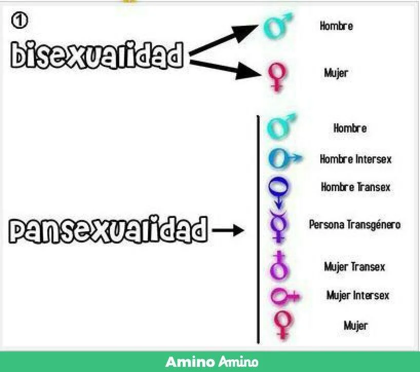 Diferencia entre bisexual y pansexual