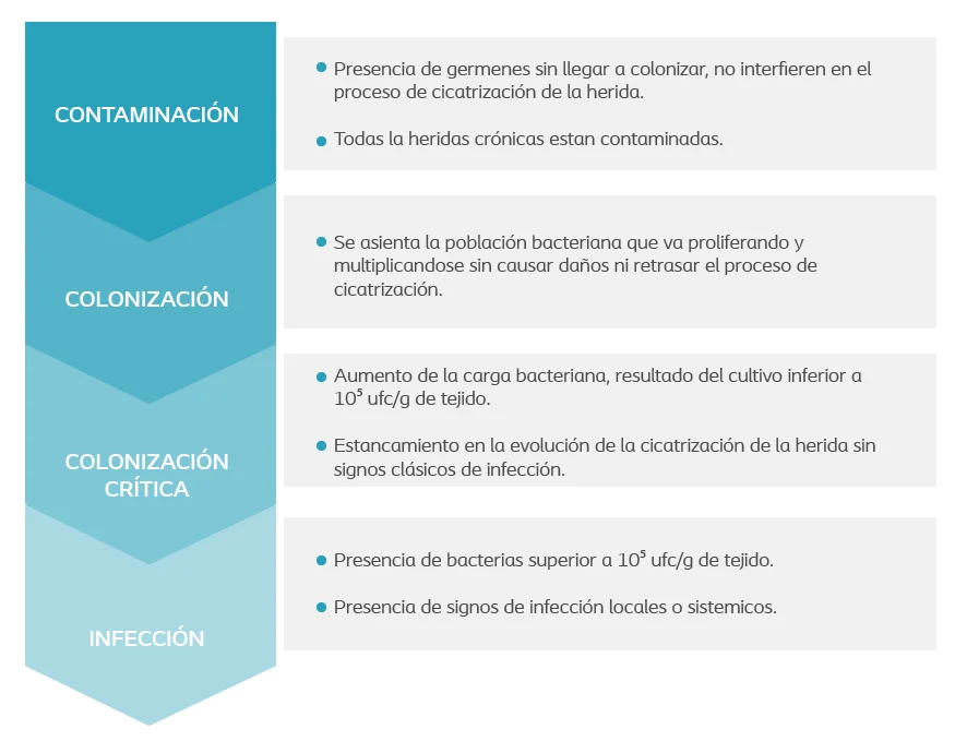 Diferencia entre colonización e infección