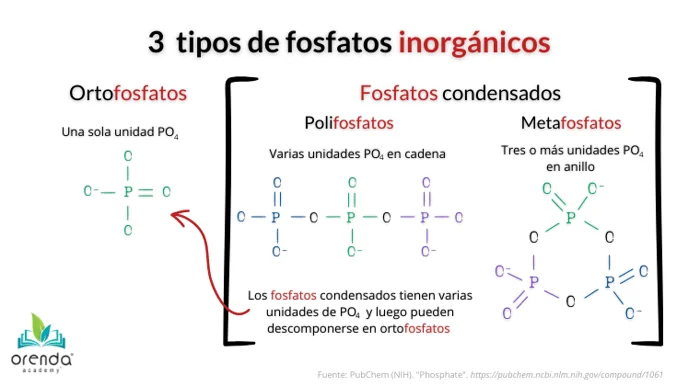 Diferencia entre el fosfato alcalino y el fosfato ácido