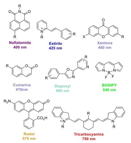 Diferencia entre fluoróforo y cromóforo