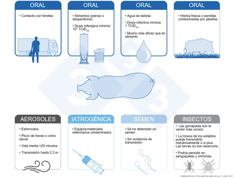Diferencia entre fómites y vectores