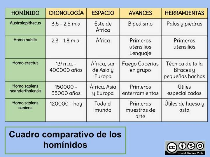 Diferencia entre homínido y homínido