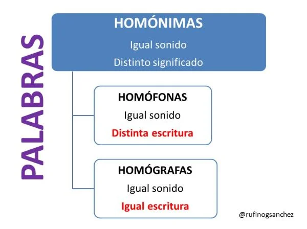 Diferencia entre homónimos y homógrafos