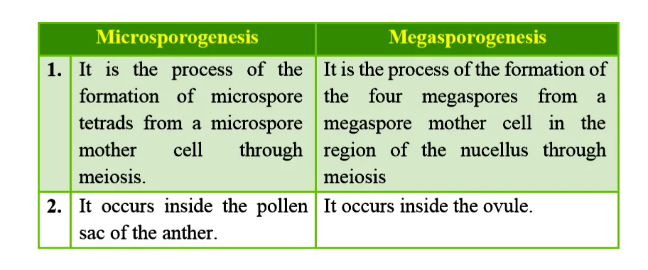Diferencia entre megasporogénesis y microsporogénesis