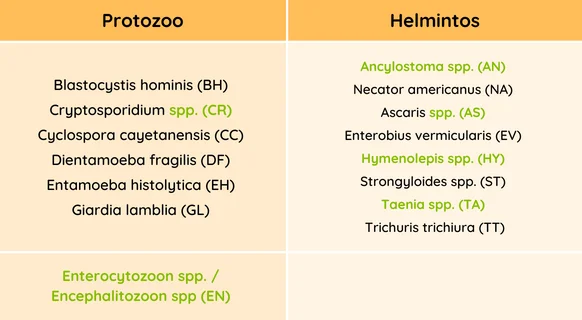 Diferencia entre protozoos y helmintos