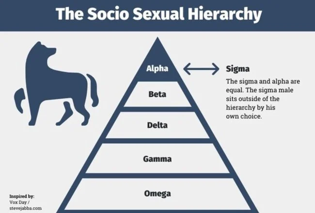 Diferencia entre un macho alfa y uno sigma