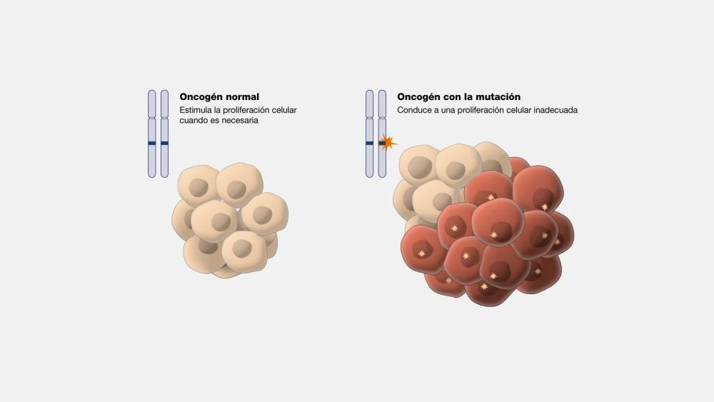 Diferencia entre un oncogén y un protooncogén
