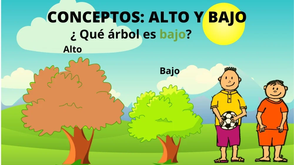Diferencia entre alto y alto