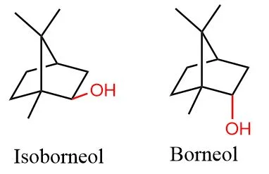 Diferencia entre borneol e isoborneol