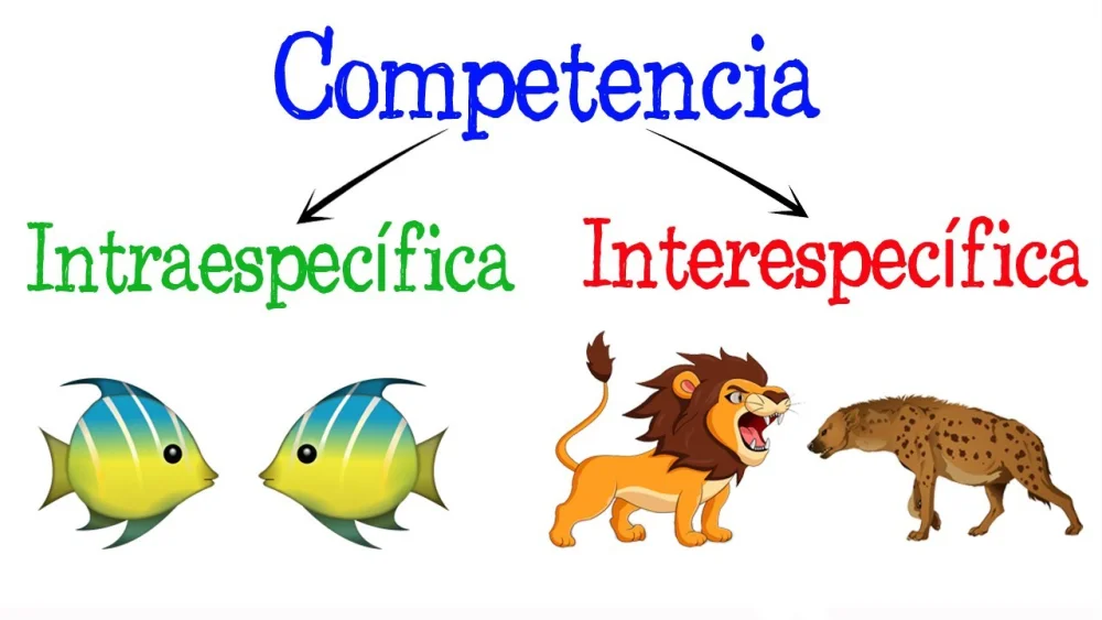 Diferencia entre competencia interespecífica e intraespecífica