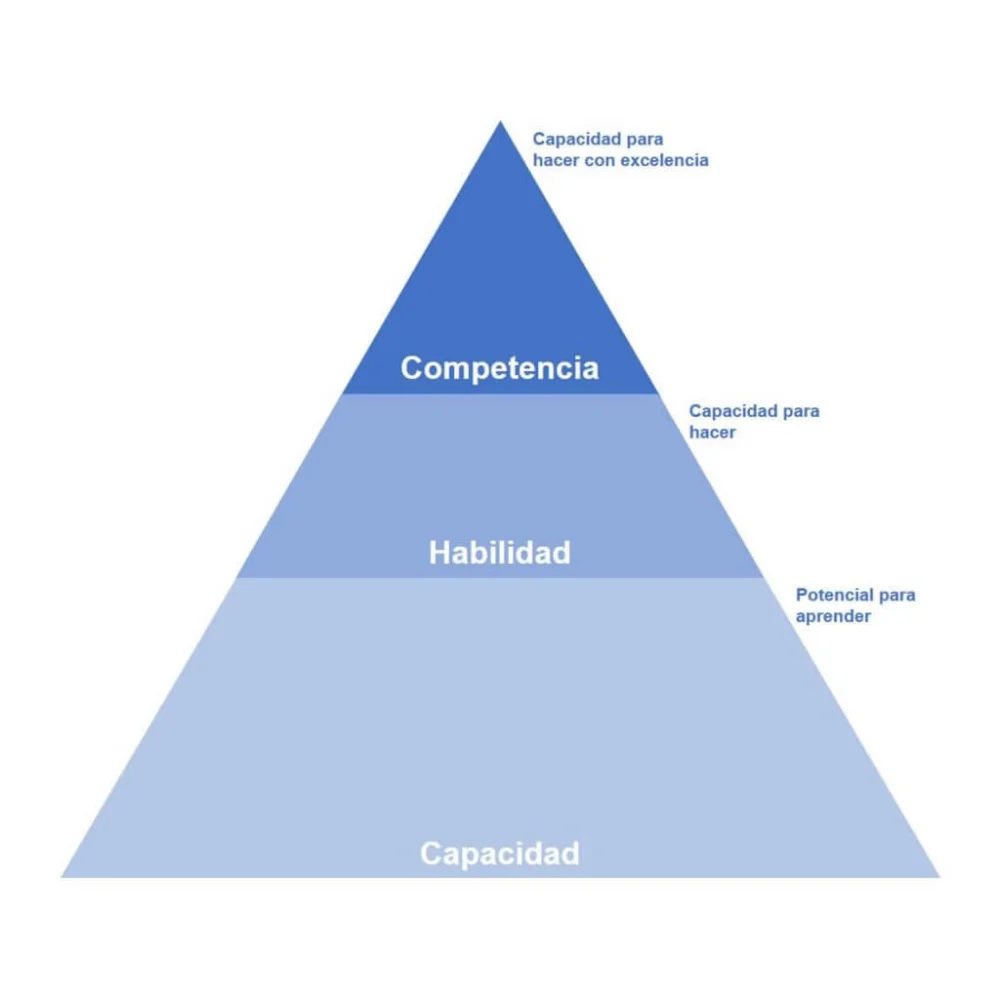 Diferencia entre competencias y habilidades