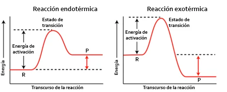 Diferencia entre complejo activado y estado de transición