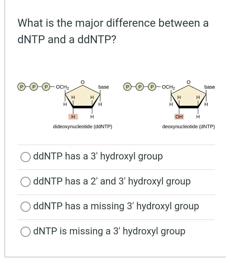 Diferencia entre dNTP y ddNTP
