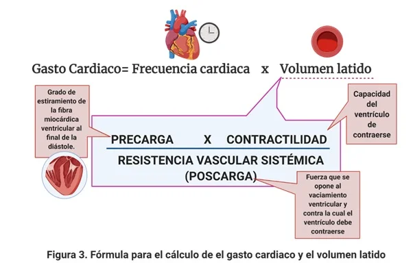 Diferencia entre el gasto cardíaco y el volumen sistólico