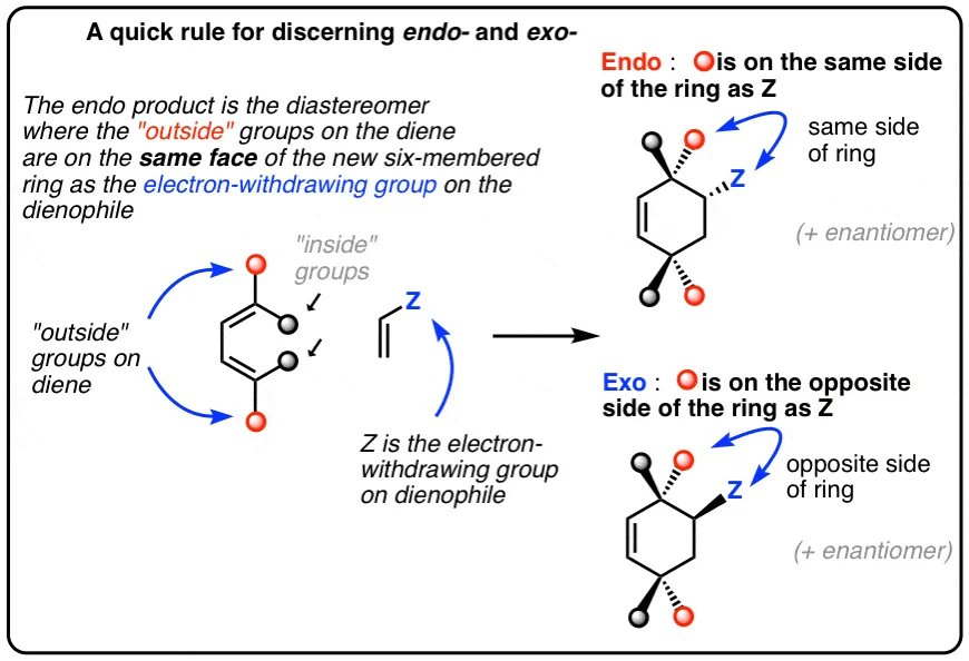 Diferencia entre Endo y Exo Diels Alder