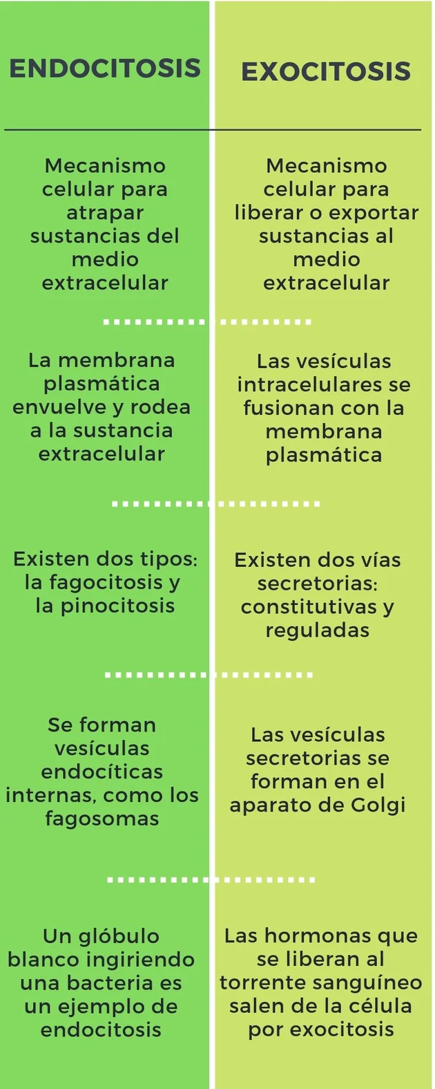 Diferencia entre endocitosis y exocitosis
