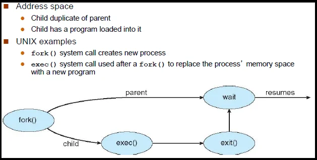 Diferencia entre fork y exec