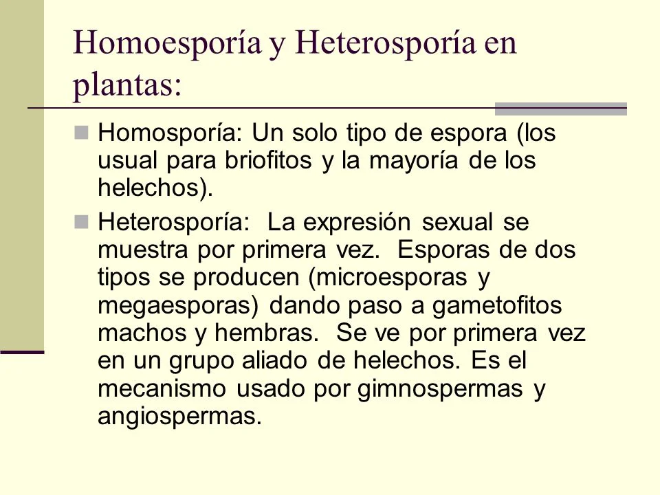 Diferencia entre homosporía y heterosporía