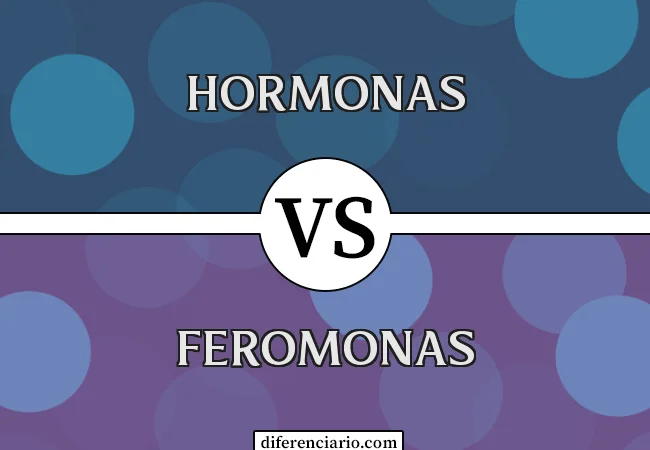 Diferencia entre hormonas y feromonas