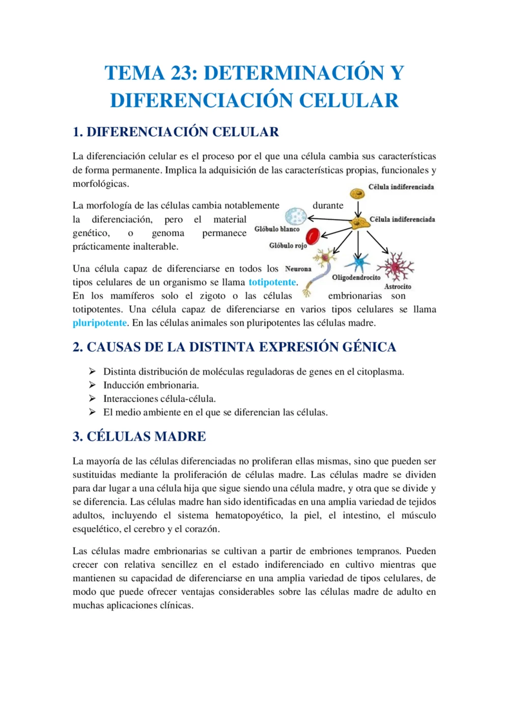 Diferencia entre la determinación celular y la diferenciación celular