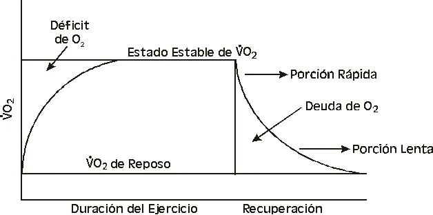 Diferencia entre la deuda de oxígeno y el déficit de oxígeno