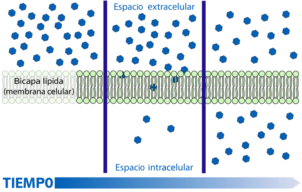 Diferencia entre la difusión de remolinos y la difusión molecular