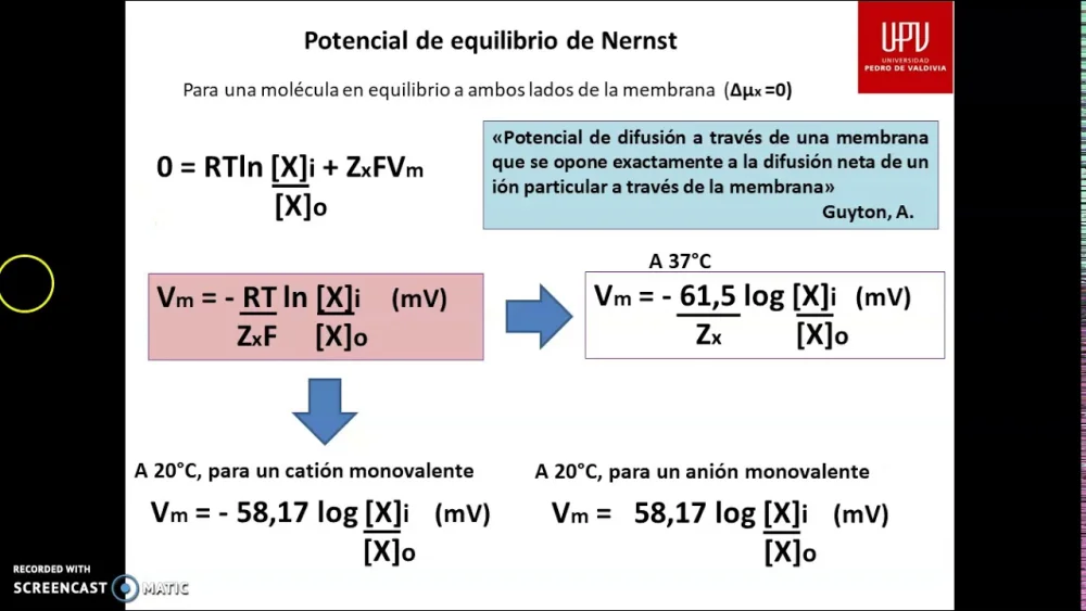 Diferencia entre la ecuación de Nernst y la ecuación de Goldman