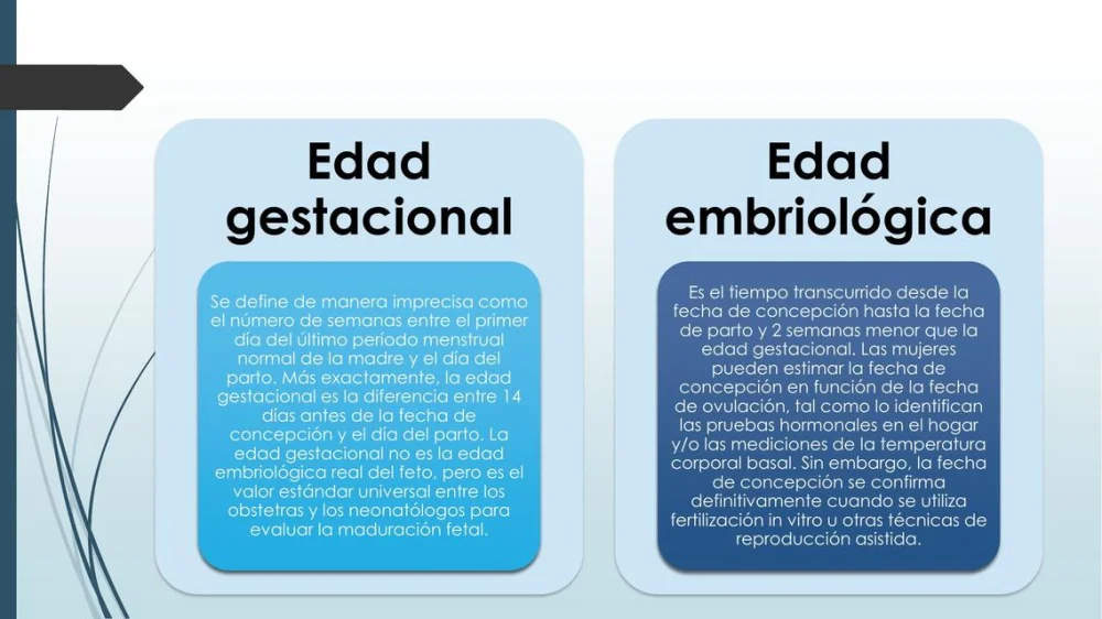 Diferencia entre la edad gestacional y la edad fetal