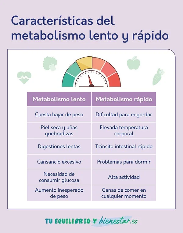 Diferencia entre metabolismo rápido y lento