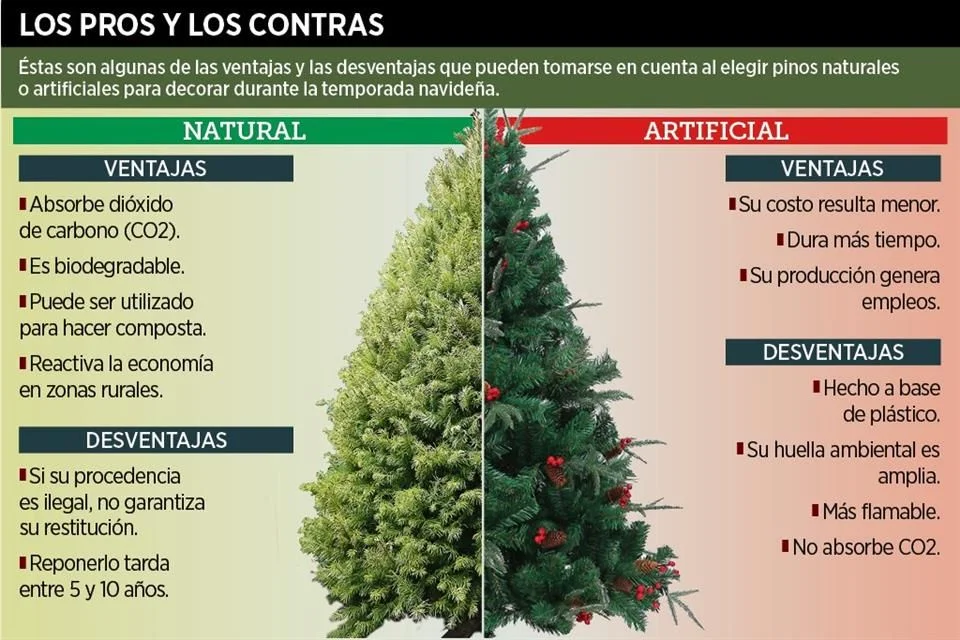 Diferencia entre un pino y un árbol de Navidad