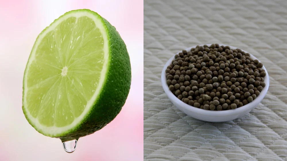 Diferencia entre amargo y agrio