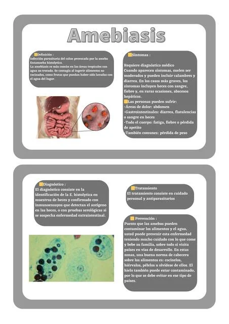 Diferencia entre ameba y leishmania